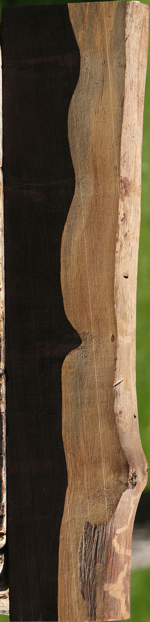 African Blackwood Live Edge Lumber