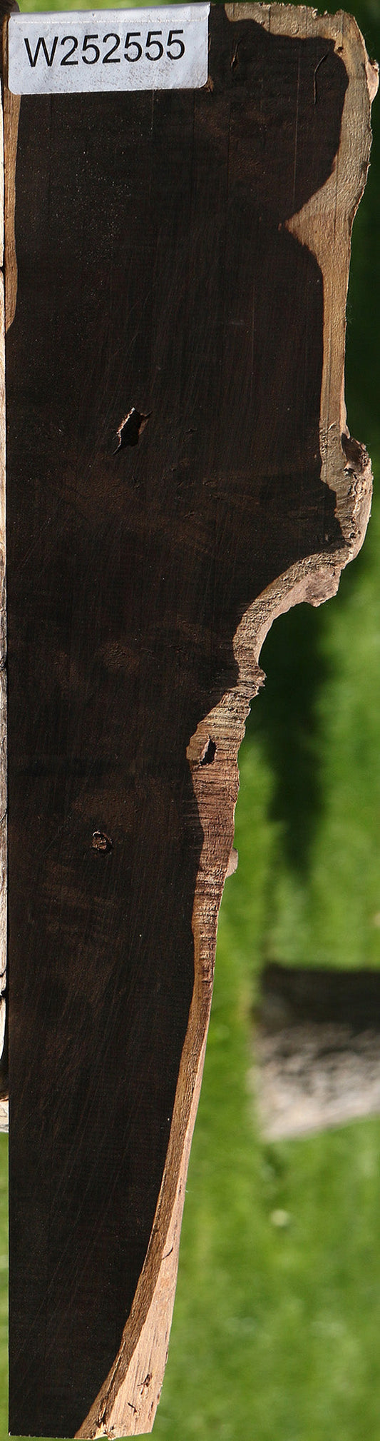 Extra Fancy African Blackwood Live Edge Micro Lumber