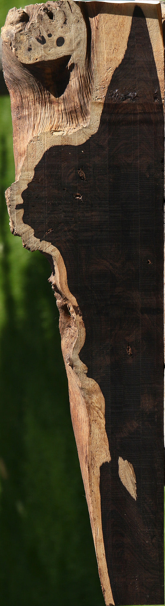 Extra Fancy African Blackwood Live Edge Micro Lumber