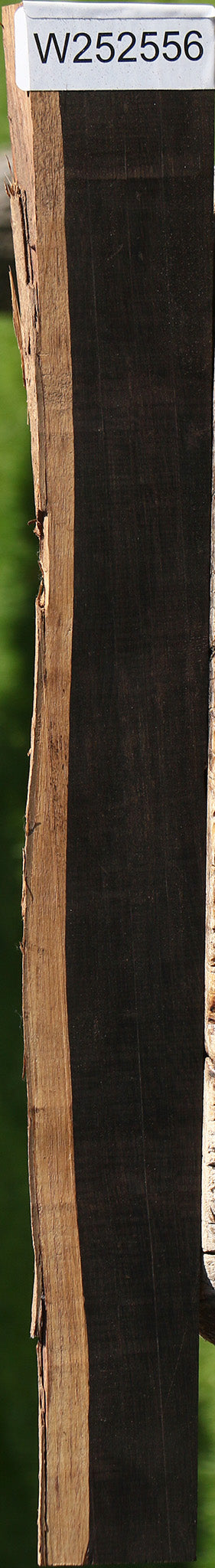 African Blackwood Live Edge Micro Lumber