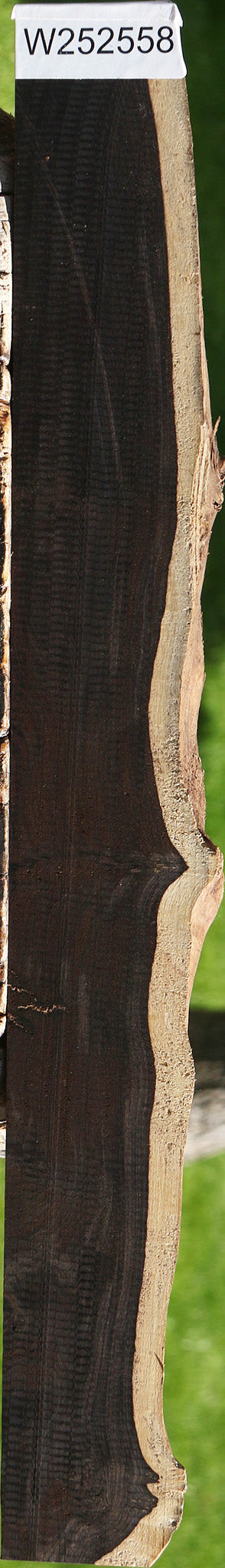 African Blackwood Live Edge Lumber