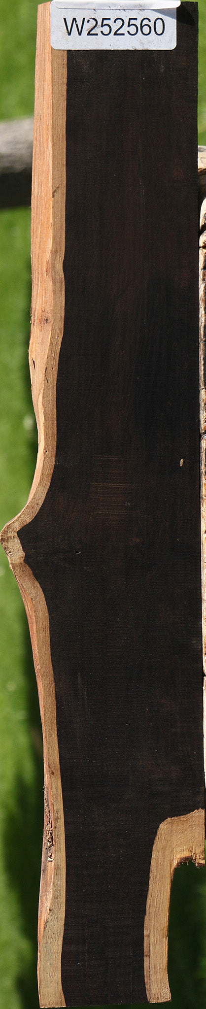 African Blackwood Live Edge Micro Lumber