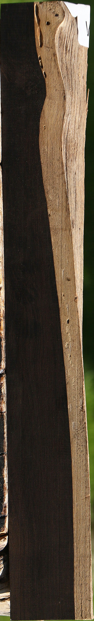 Rustic African Blackwood Live Edge Lumber