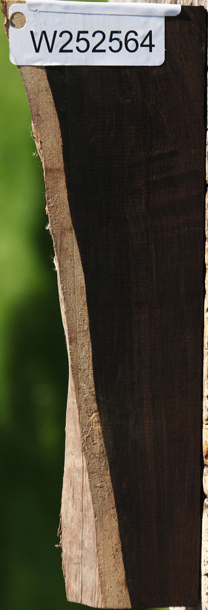 African Blackwood Live Edge Lumber