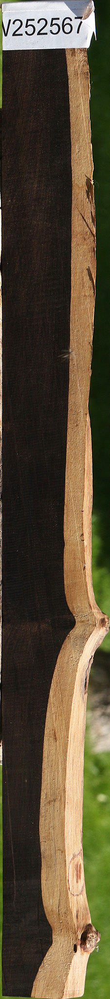 African Blackwood Live Edge Micro Lumber