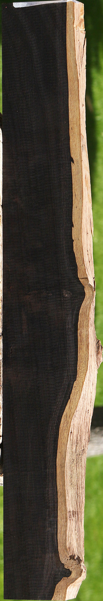 African Blackwood Live Edge Micro Lumber