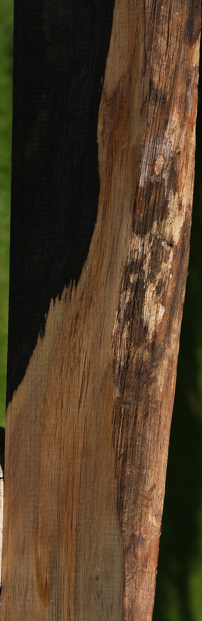 African Blackwood Live Edge Lumber