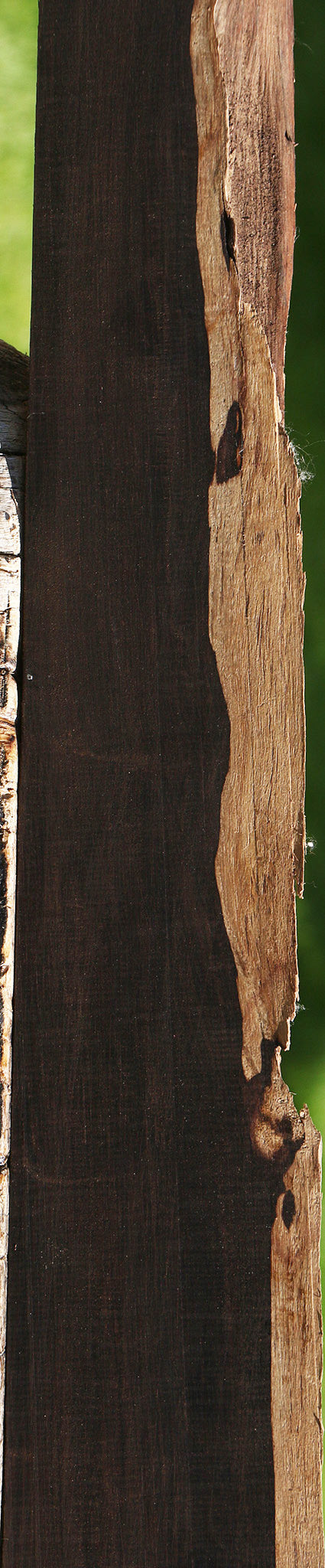 African Blackwood Live Edge Lumber