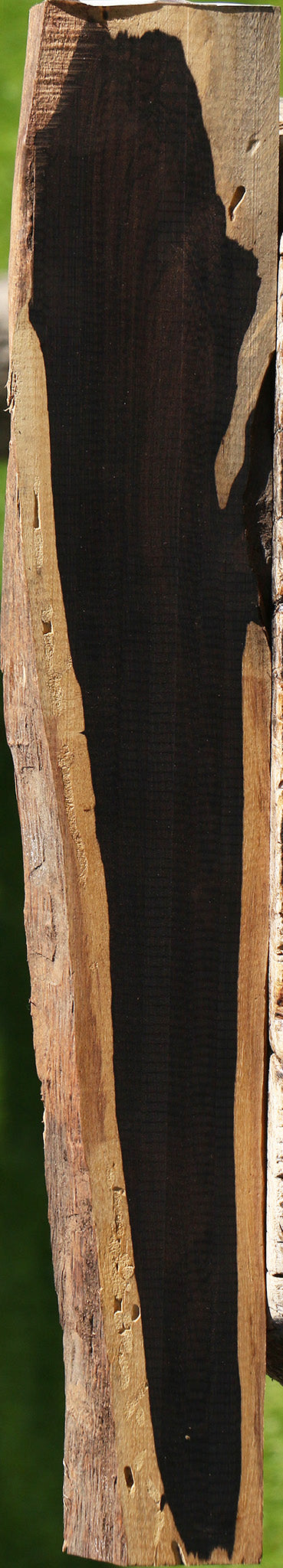 African Blackwood Live Edge Lumber