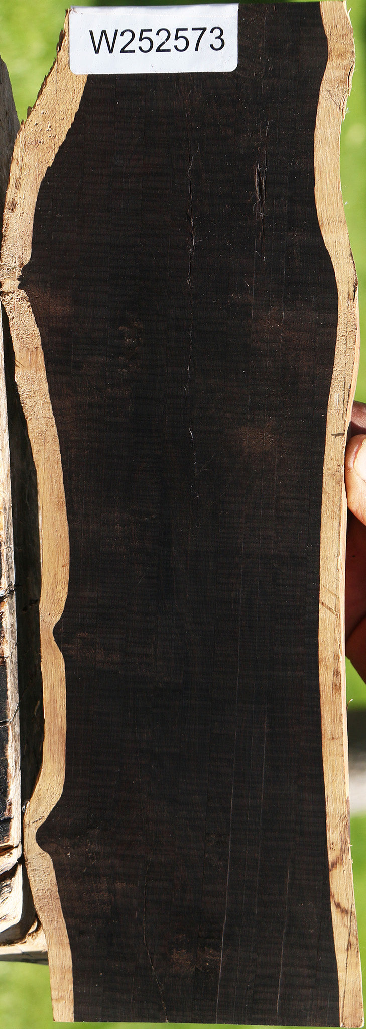 Rustic African Blackwood Live Edge Lumber