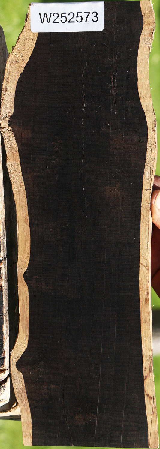 Rustic African Blackwood Live Edge Lumber