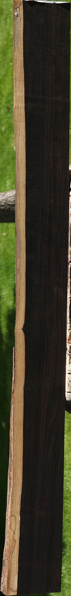 African Blackwood Live Edge Micro Lumber