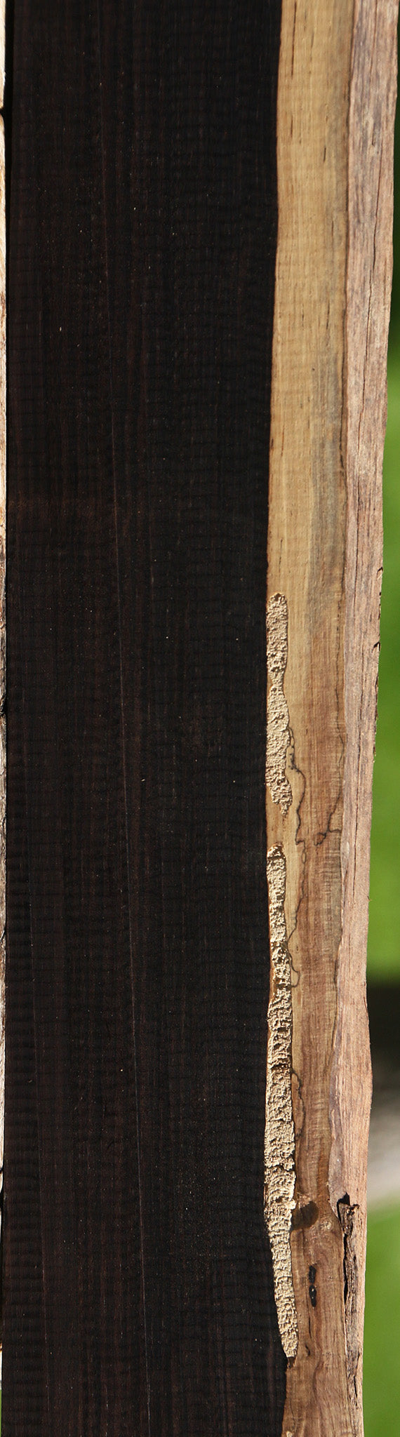 African Blackwood Live Edge Micro Lumber