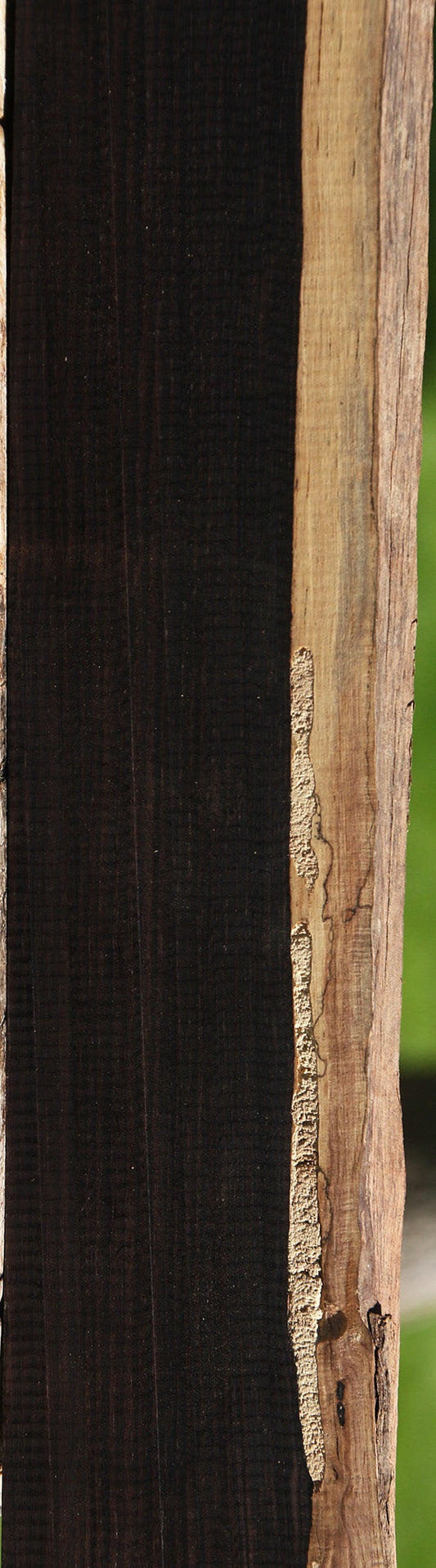 African Blackwood Live Edge Micro Lumber