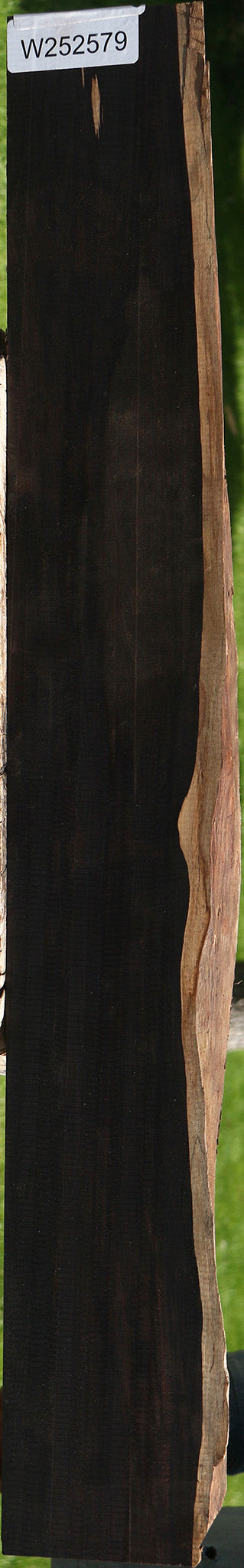 Figured African Blackwood Live Edge Lumber