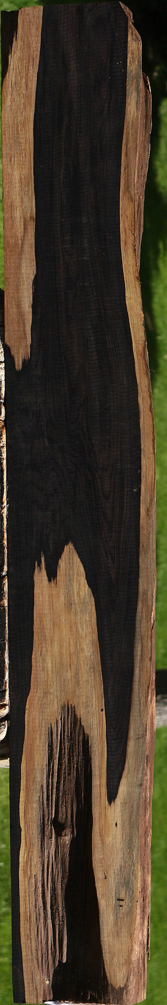 Figured African Blackwood Live Edge Lumber