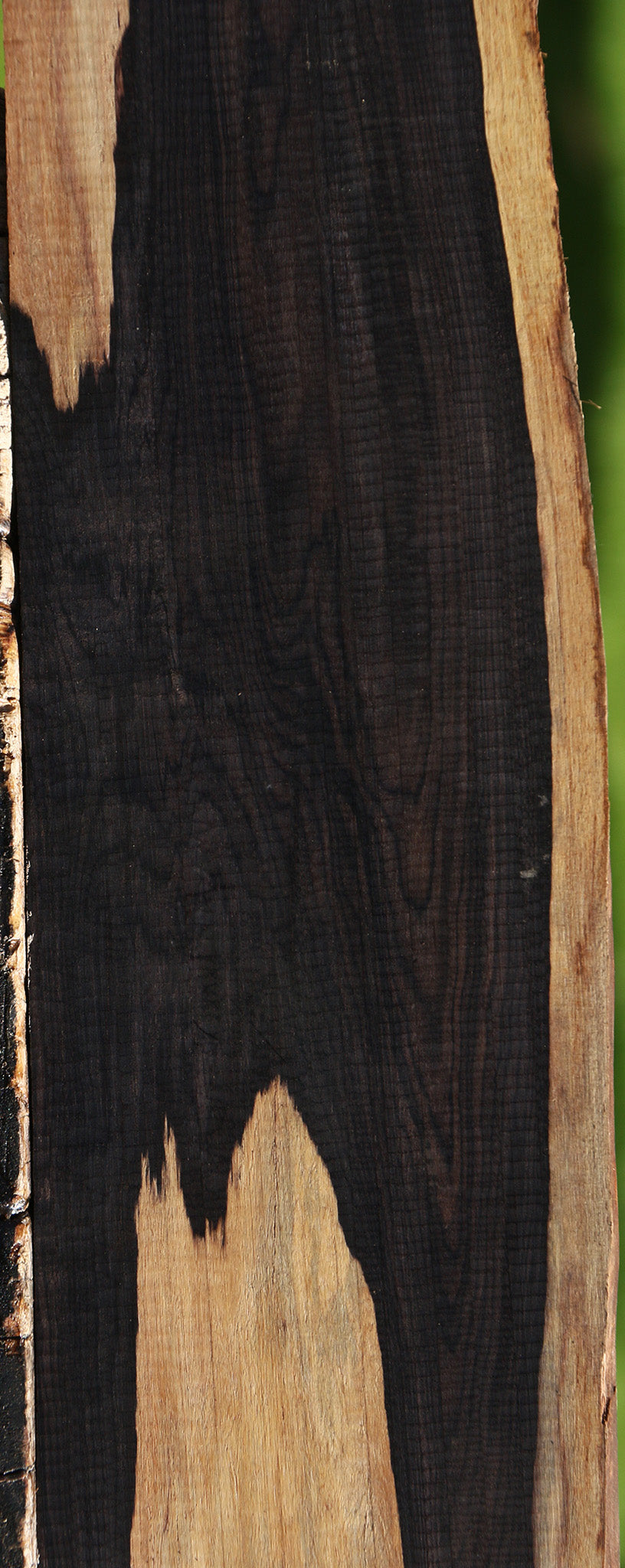 Figured African Blackwood Live Edge Lumber