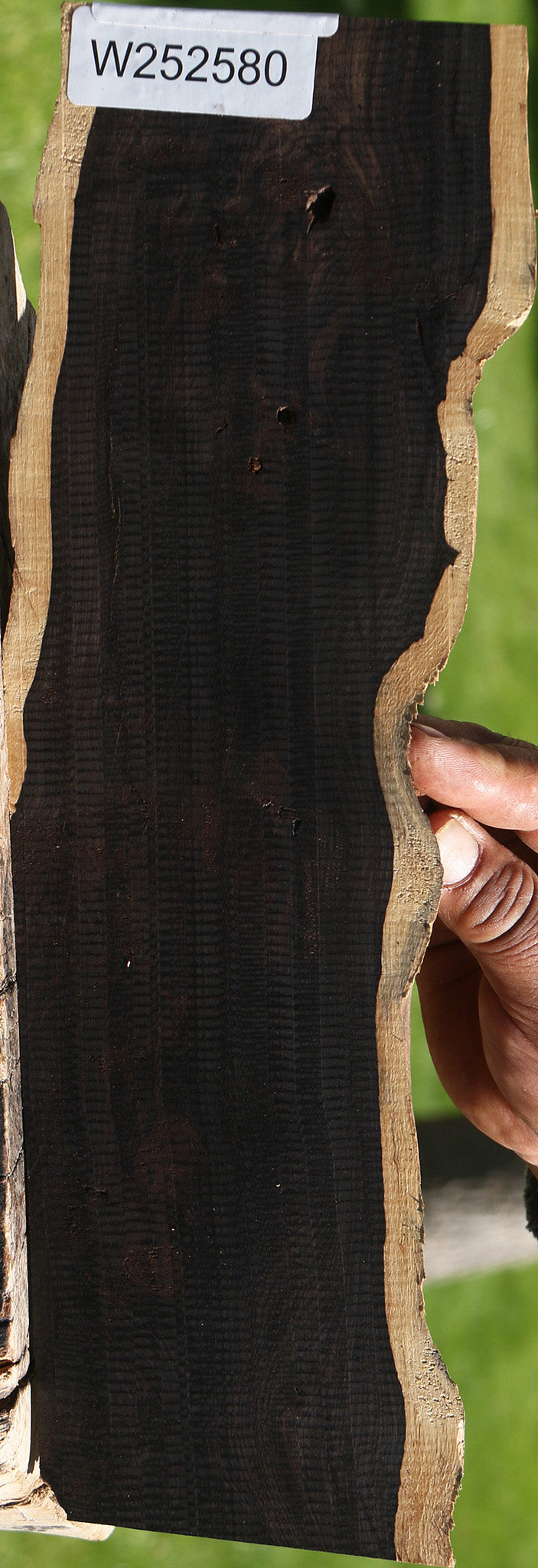 Figured African Blackwood Live Edge Micro Lumber