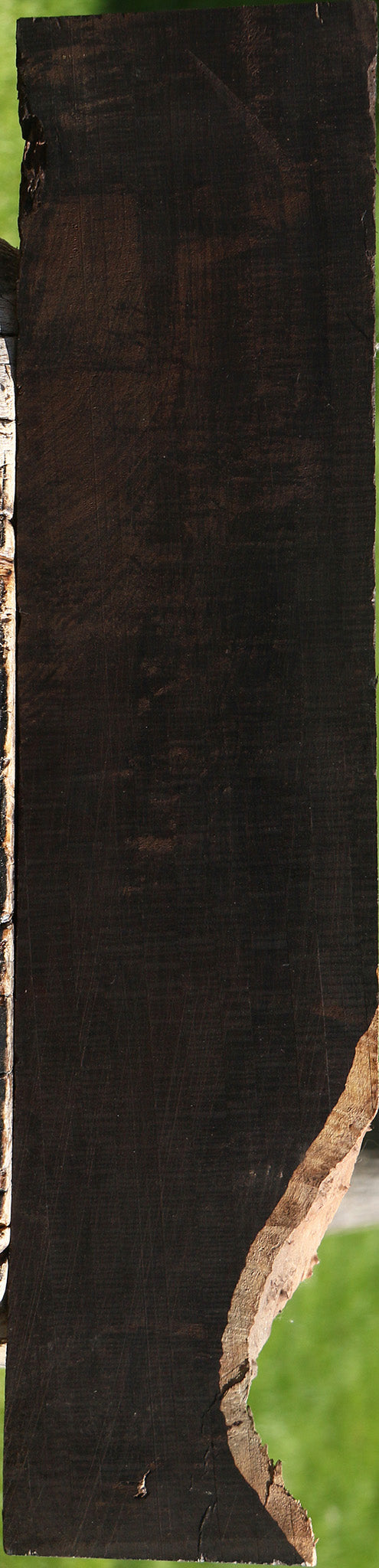 Figured African Blackwood Live Edge Lumber