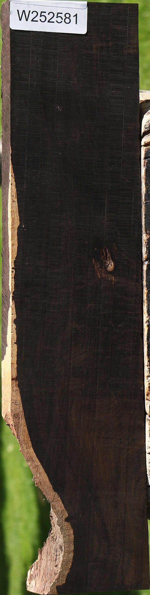 Figured African Blackwood Live Edge Lumber
