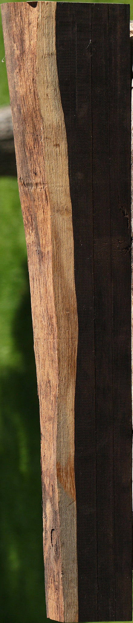 African Blackwood Live Edge Lumber