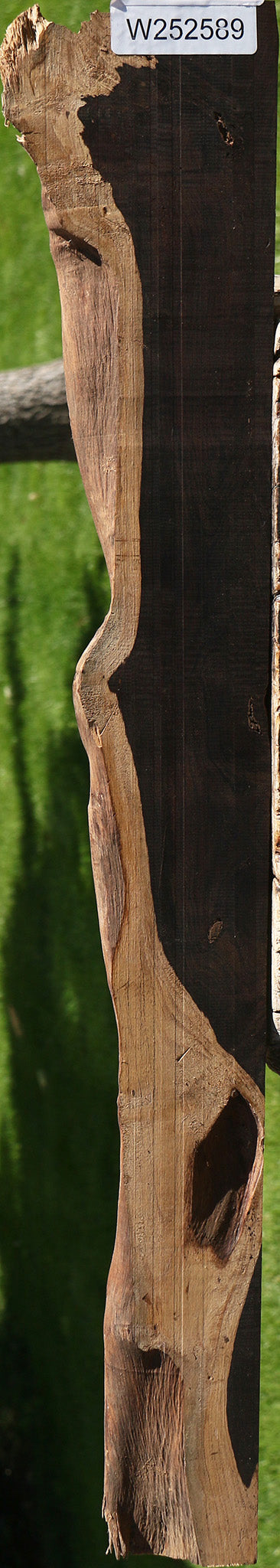 African Blackwood Live Edge Lumber