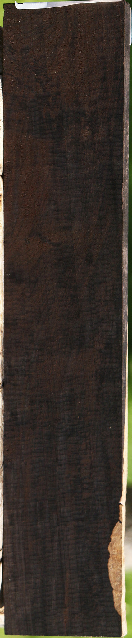 African Blackwood Micro Lumber