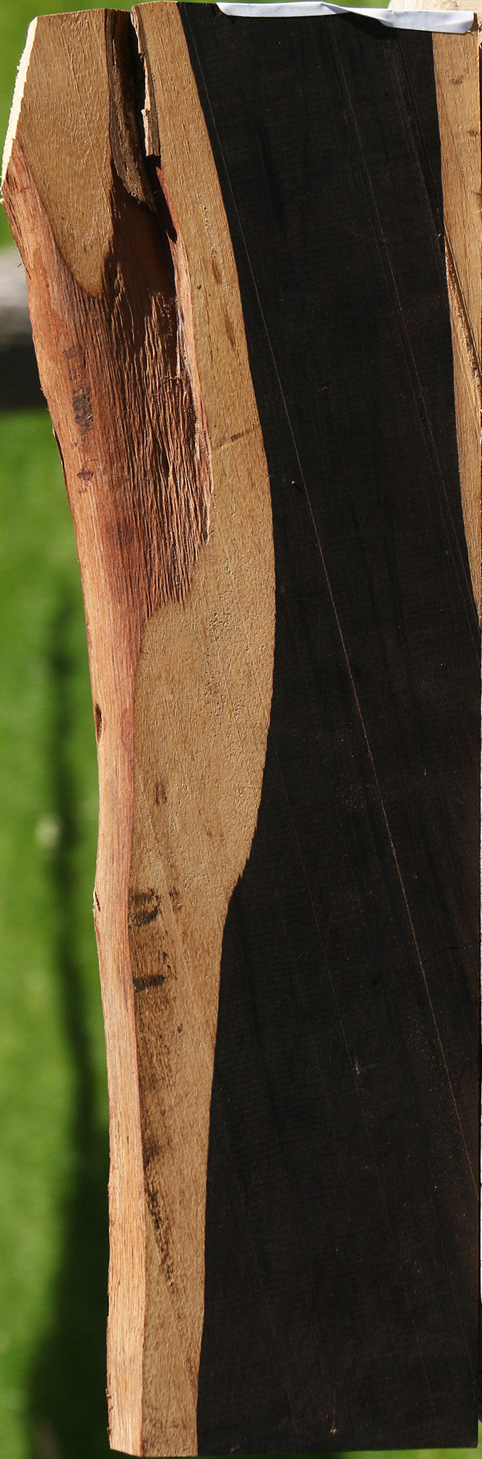 African Blackwood Live Edge Micro Lumber