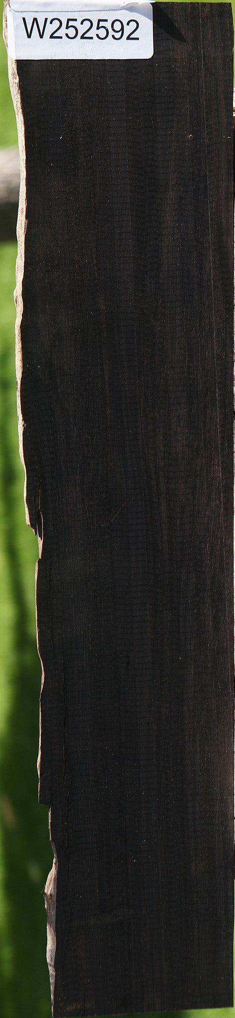 African Blackwood Live Edge Micro Lumber