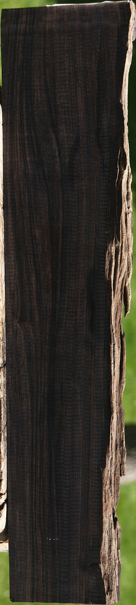 African Blackwood Live Edge Micro Lumber