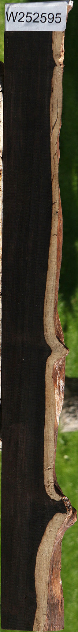 African Blackwood Live Edge Micro Lumber