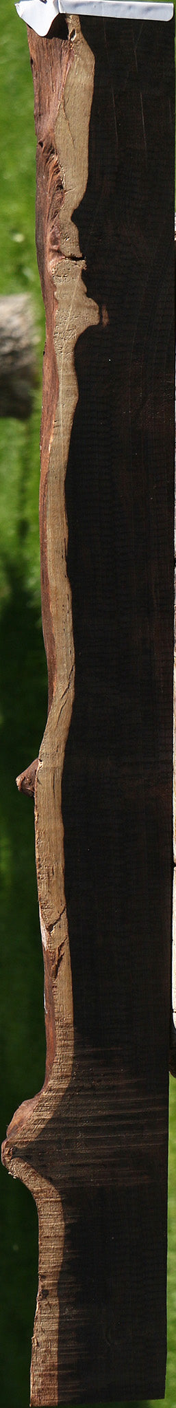African Blackwood Live Edge Micro Lumber