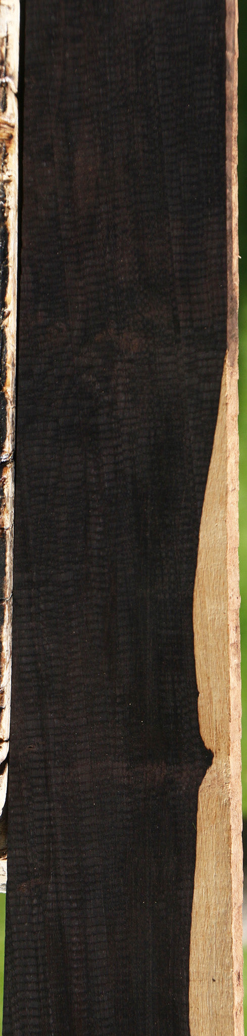 African Blackwood Micro Lumber