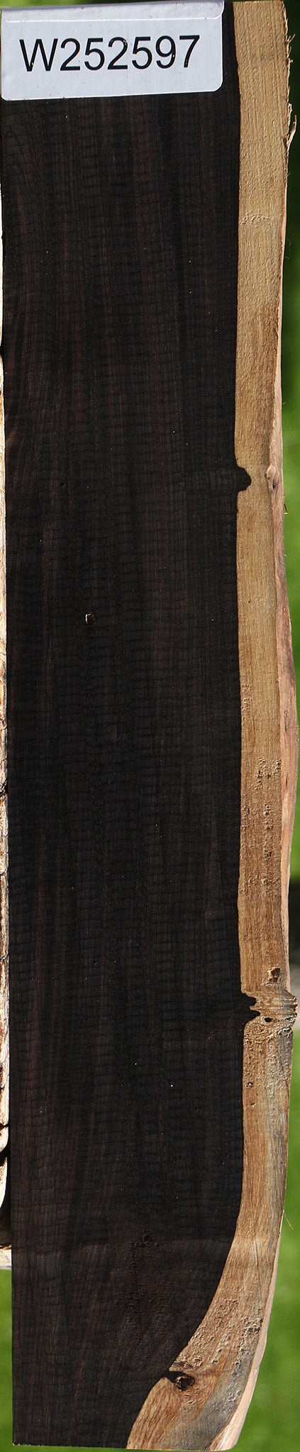 African Blackwood Live Edge Micro Lumber