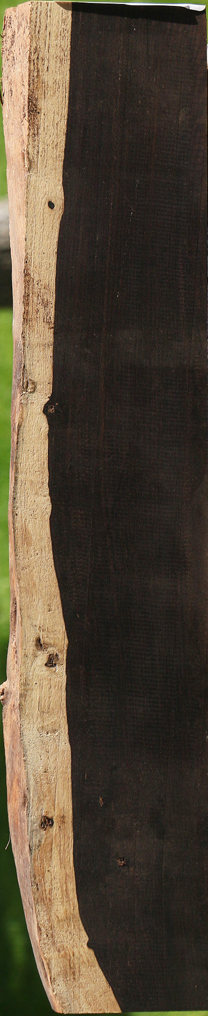 African Blackwood Live Edge Micro Lumber