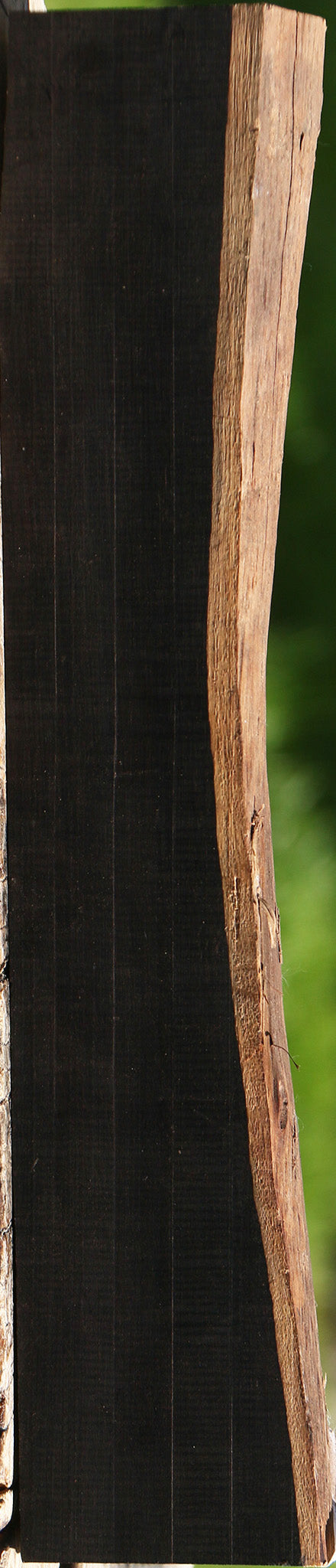 African Blackwood Live Edge Lumber