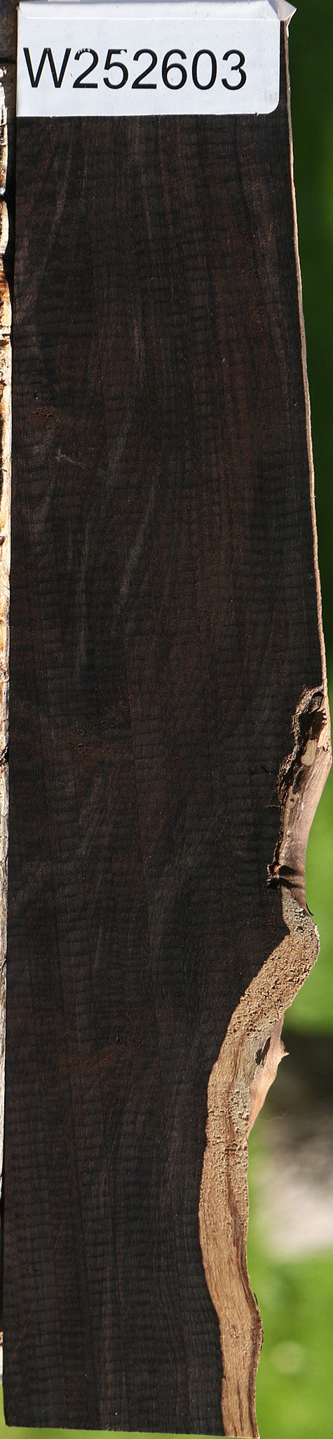 African Blackwood Live Edge Lumber
