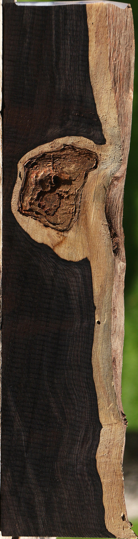 African Blackwood Live Edge Micro Lumber