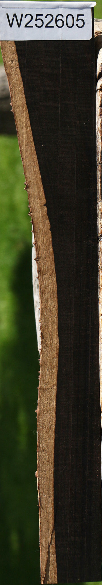 African Blackwood Live Edge Lumber