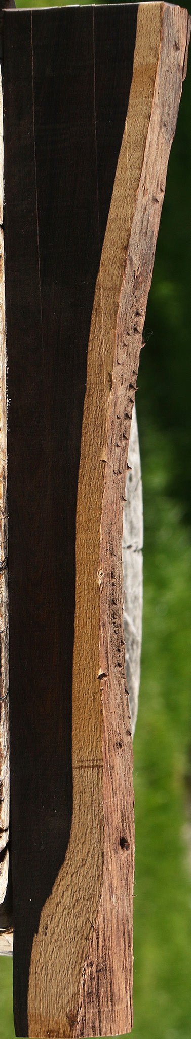 African Blackwood Live Edge Lumber