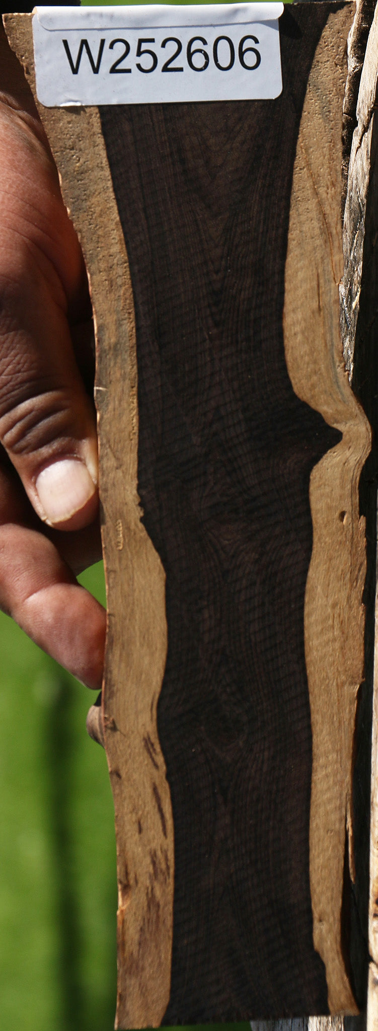 African Blackwood Live Edge Micro Lumber