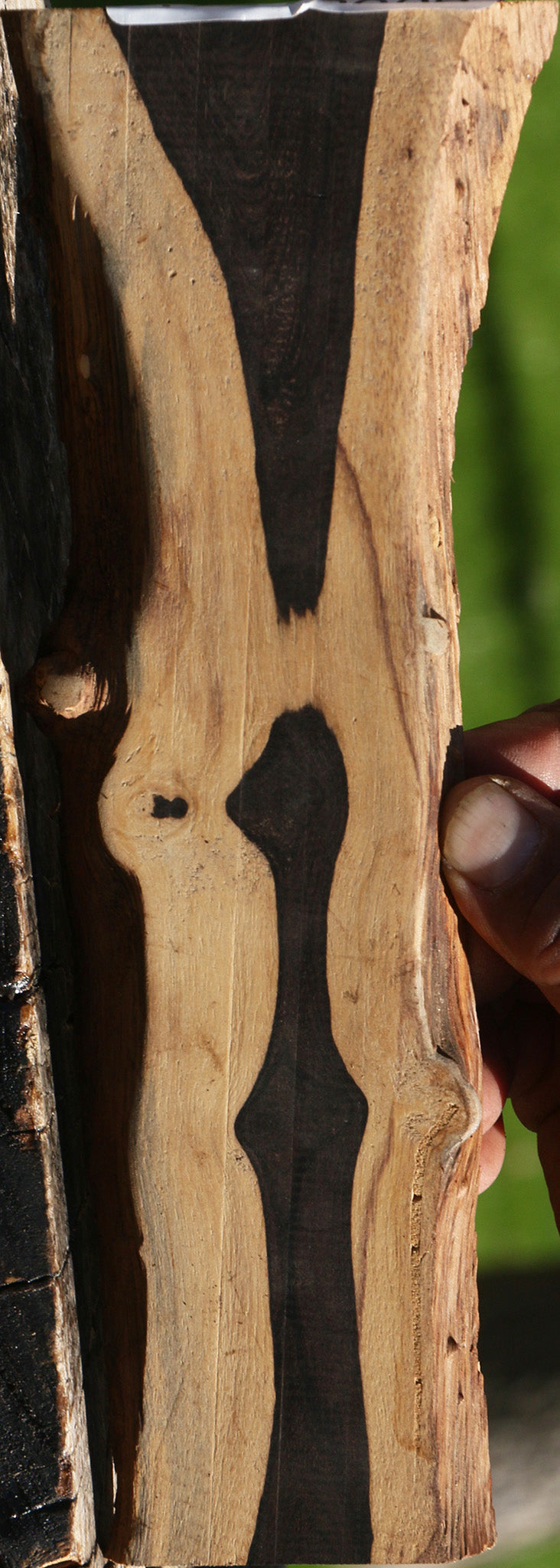 African Blackwood Live Edge Micro Lumber