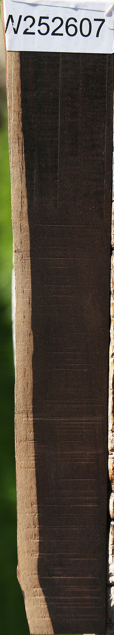 African Blackwood Live Edge Lumber