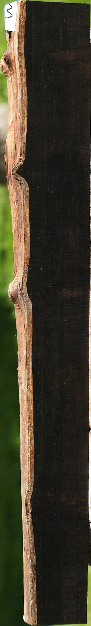 African Blackwood Live Edge Lumber