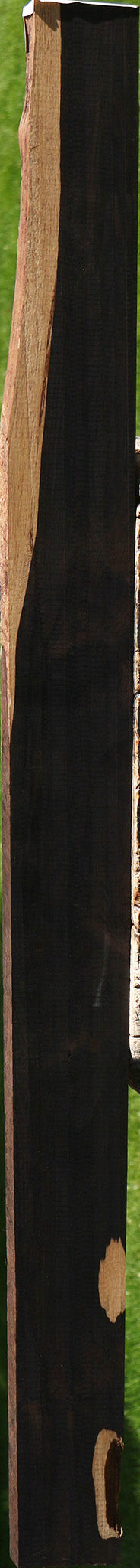 African Blackwood Live Edge Micro Lumber