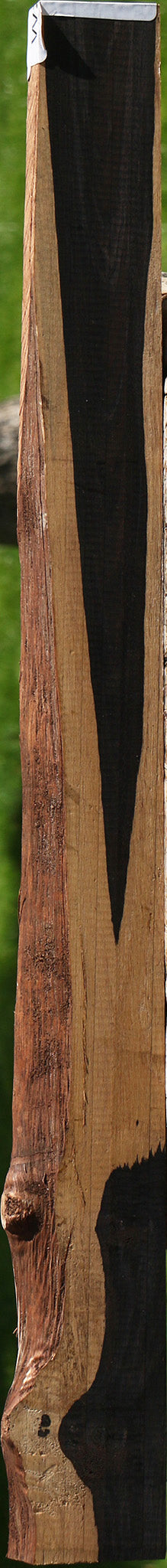 African Blackwood Live Edge Lumber