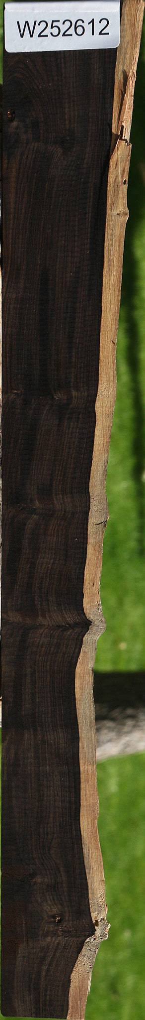 Extra Fancy African Blackwood Live Edge Micro Lumber