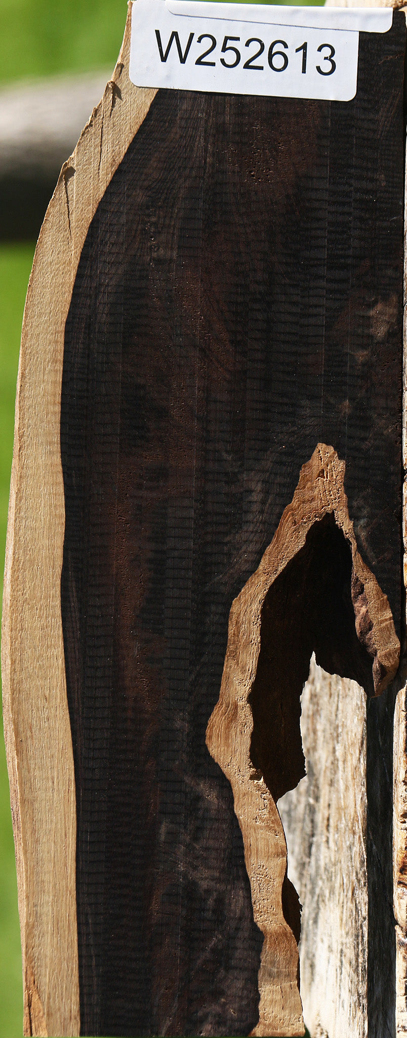 African Blackwood Live Edge Lumber