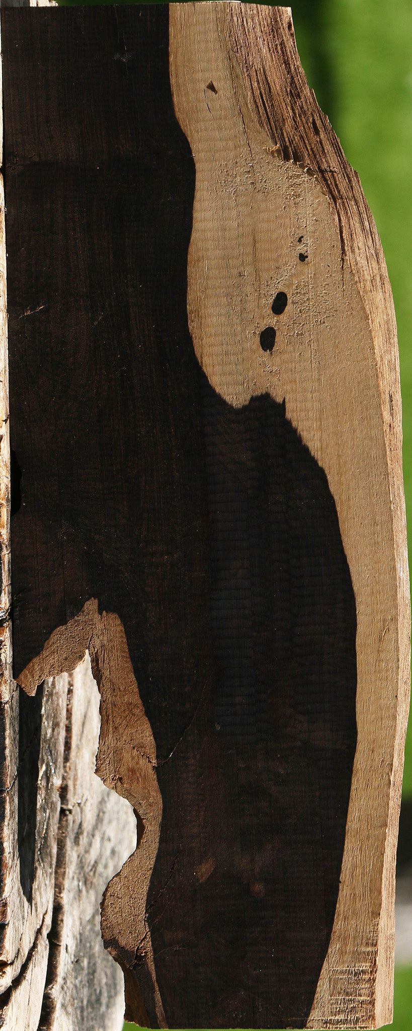 African Blackwood Live Edge Lumber