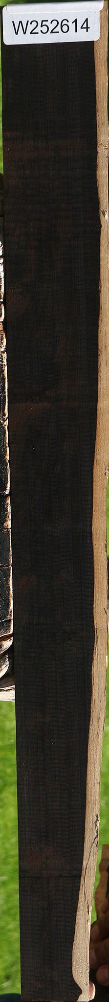 African Blackwood Live Edge Micro Lumber